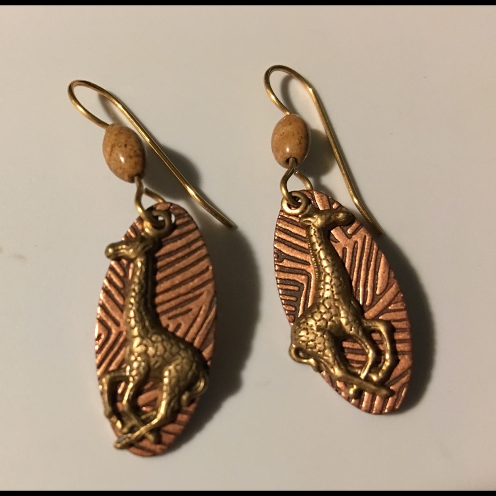 Earrings NWOT